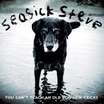 seasick steve 1