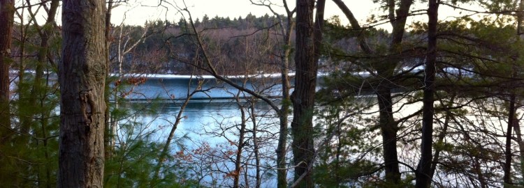 IMG_1167 - Version 2