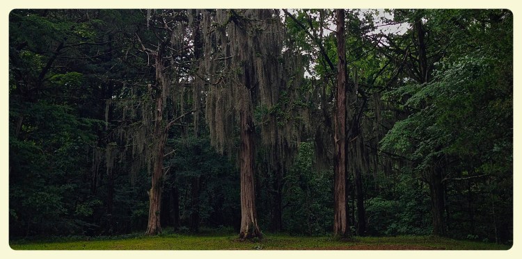 Rocky Springs edit 1