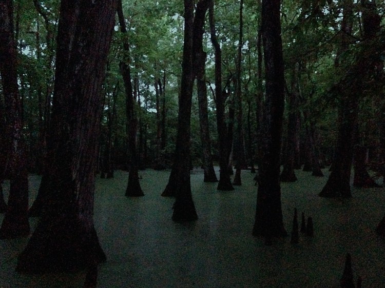 IMG_2092 - Version 2